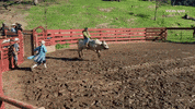 odd future fall GIF by JASPER & ERROL'S FIRST TIME
