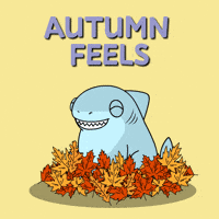 Its Fall GIF by Ordinary Frends