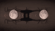 Art Video GIF by jorgemariozuleta