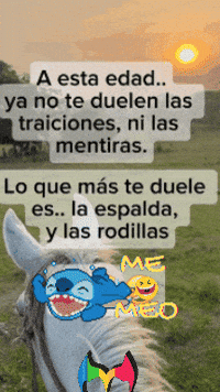 Me Meo Te Duele GIF by Murcianys LLC