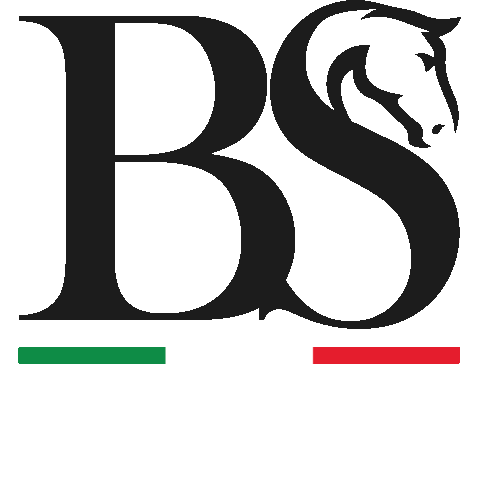 Logo Sticker by Briganti Silver