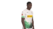 Posing Line Up Sticker by Bundesliga