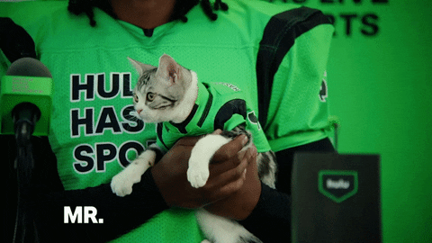 Todd Gurley Cat GIF by HULU