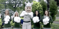 cle_state celebrating vikings viking csu GIF