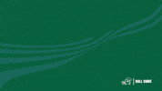 New Orleans Hello GIF by GreenWave