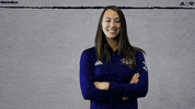 NevadaWolfPack swim dive wolfpack nevada GIF