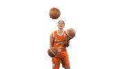 Basketball Sticker by Tango Bourges Basket