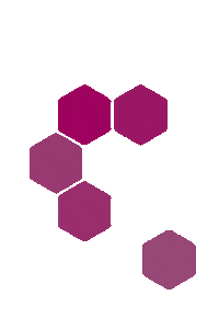 Pink Shapes Sticker by Pixel Labs