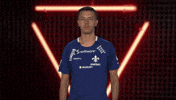 Sv Darmstadt 98 Cheering GIF by Bundesliga