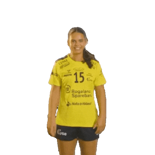 Rema1000Ligaen Sticker by Norsk Topphåndball