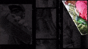 Energy Drink GIF by Rogue Energy