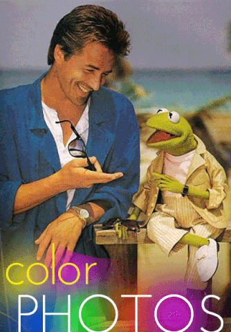 don johnson GIF