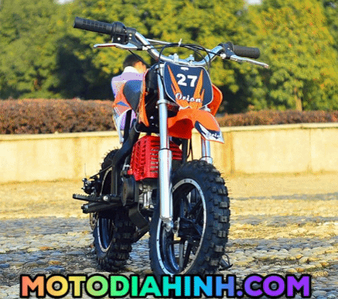 tonh giphygifmaker GIF