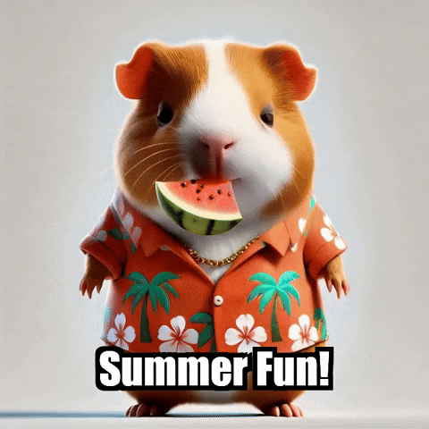 Guinea Pig Summer GIF by Guinea Gambino