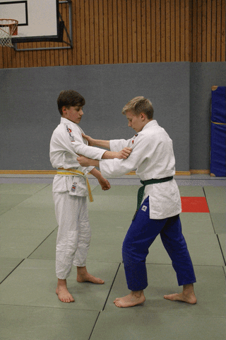 redtigerclub judo martials arts o-goshi parent and child judo GIF