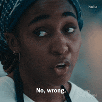 Chef No GIF by The Bear