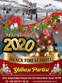 BlackForestHotel  GIF
