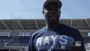 Tampa Bay Rays Singing GIF by MLB