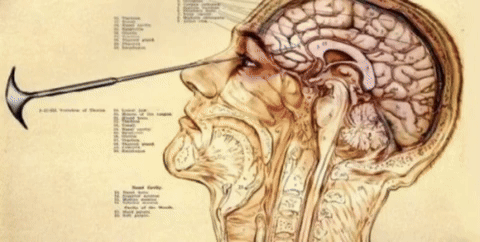 pizzavetrata giphyattribution giphycreatortest GIF