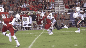 miamihurricanes miami hurricanes miami hurricanes football canes football hurricanes football GIF