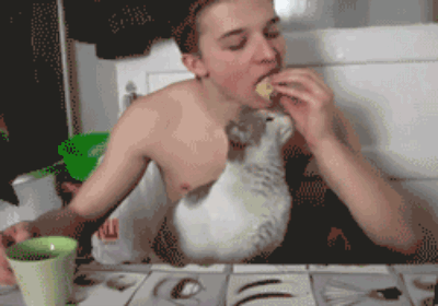 stealing GIF