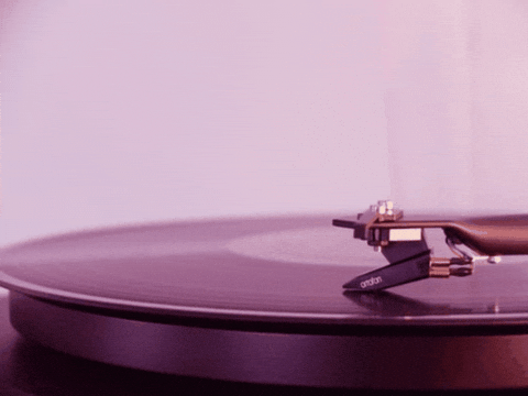 jeremyberman giphygifmaker giphyattribution GIF