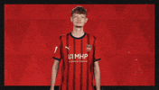 Fc Heidenheim Football GIF by Bundesliga