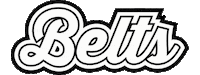 Belts Sticker by Elizabeth Sutton Collection