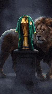 Diadia GIF
