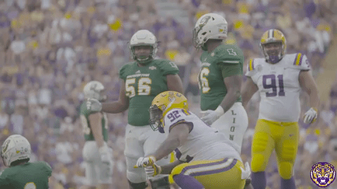 College Sports Sport GIF by LSU Tigers