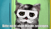 Cat Obb GIF by ÖBB | Österreichische Bundesbahnen