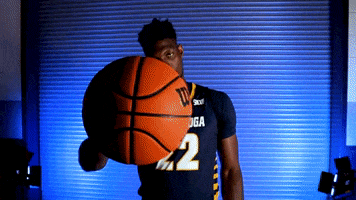 Gomocsmbbncaa GIF by Chattanooga Mocs
