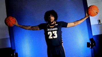 Gomocsmbbncaa GIF by Chattanooga Mocs