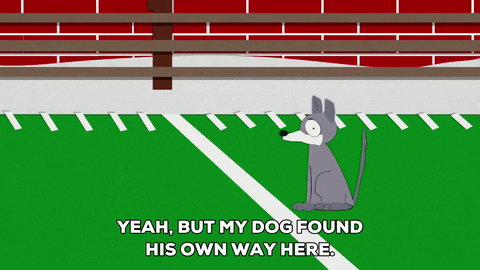 football field dog GIF by South Park 