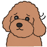 Puppy Poodle Sticker