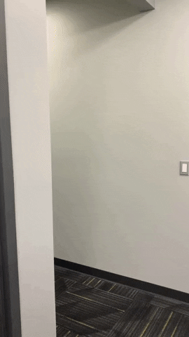 Wu_Shock hi sneaky peekaboo wsu GIF