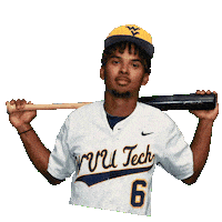 Baseball Sticker by WVU Tech Golden Bears