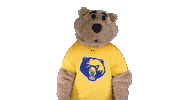 West Virginia Lol Sticker by WVU Tech Golden Bears