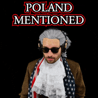 Polish Flag Poland GIF