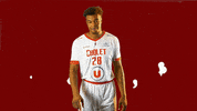 choletbasket sport basketball basket cb GIF