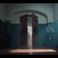 One Piece Netflix GIF by partner in crime