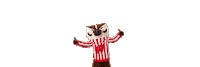 Uw Madison Wfaa Sticker by Wisconsin Foundation and Alumni Association