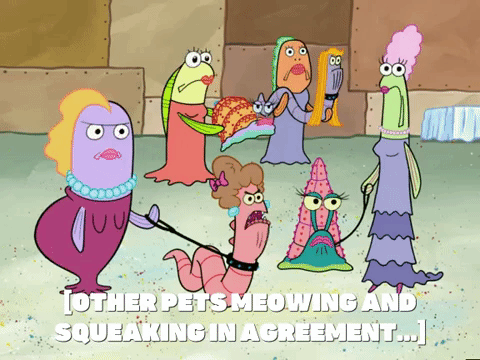 season 6 episode 10 GIF by SpongeBob SquarePants
