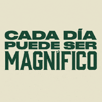 San Miguel Dance GIF by Cervezas-San-Miguel