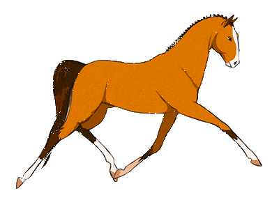 Horse Turkey Sticker by goreme valley cave house