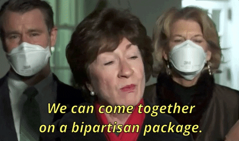 Susan Collins GIF by GIPHY News