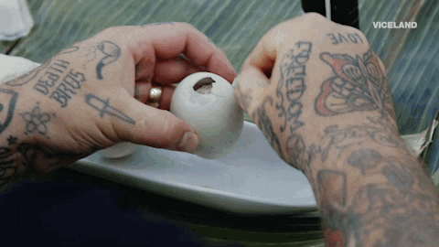 GIF by Dead Set on Life