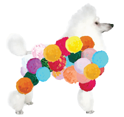 Poodle Pompom Sticker by Loome