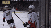 ice hockey GIF by NHL