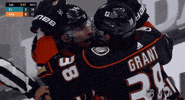 Regular Season Sport GIF by NHL